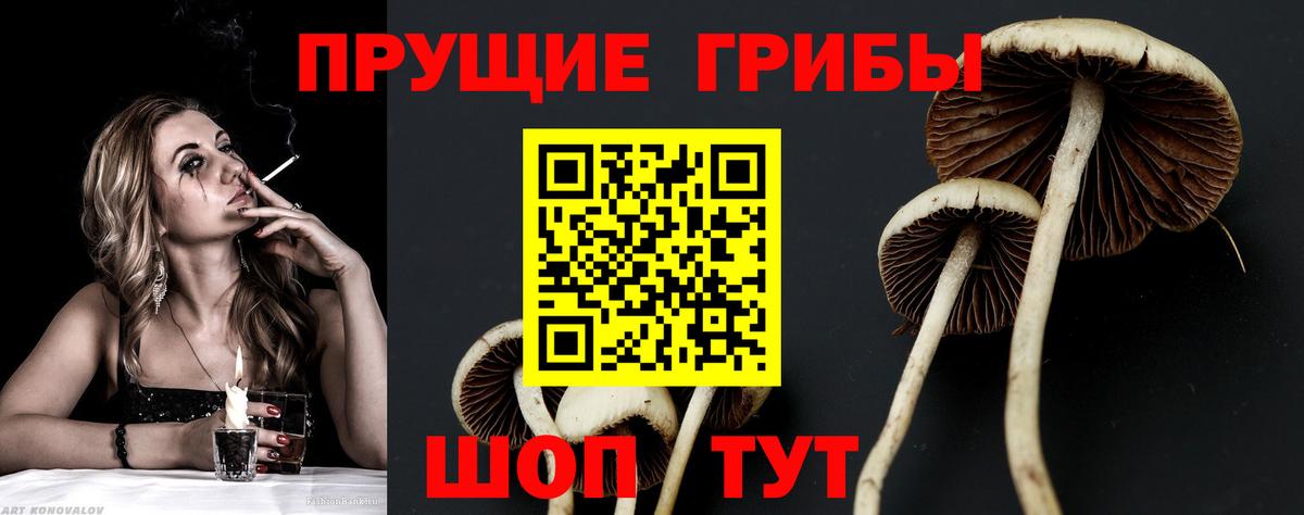 Алексин  Галлюциногенные грибы Magic Shrooms  Вход с VPN 